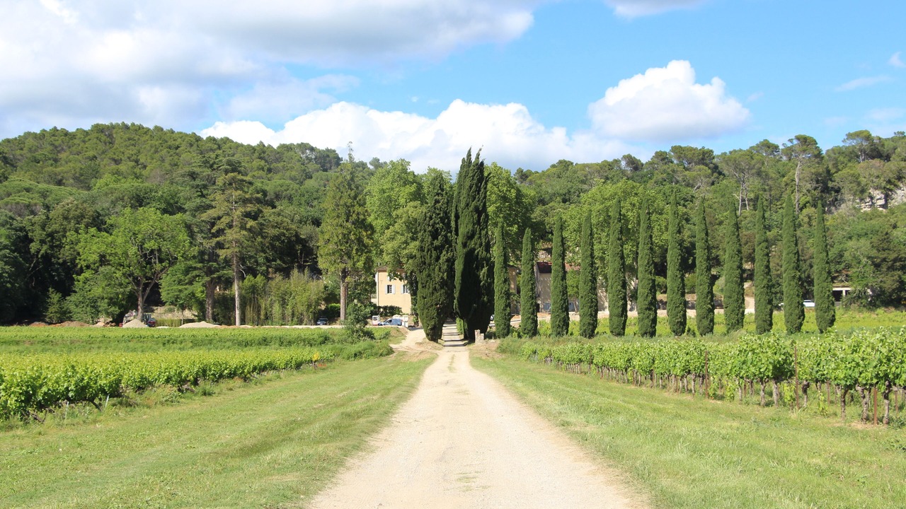 Photo of Outdoor in Cornillon