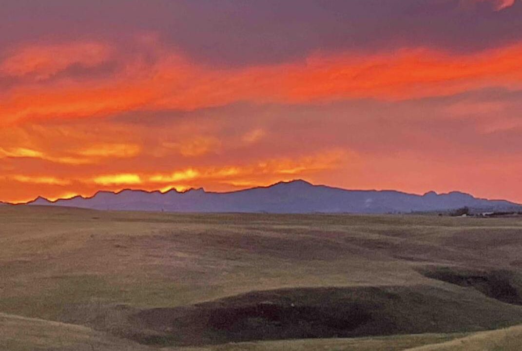 Photo of Others in Hermosa