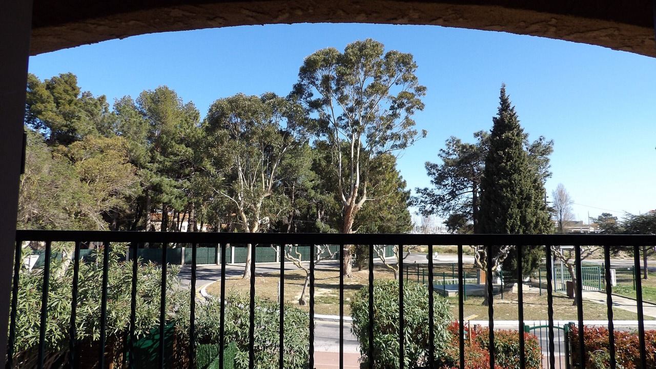Photo of Outdoor in Saint-Cyprien Plage