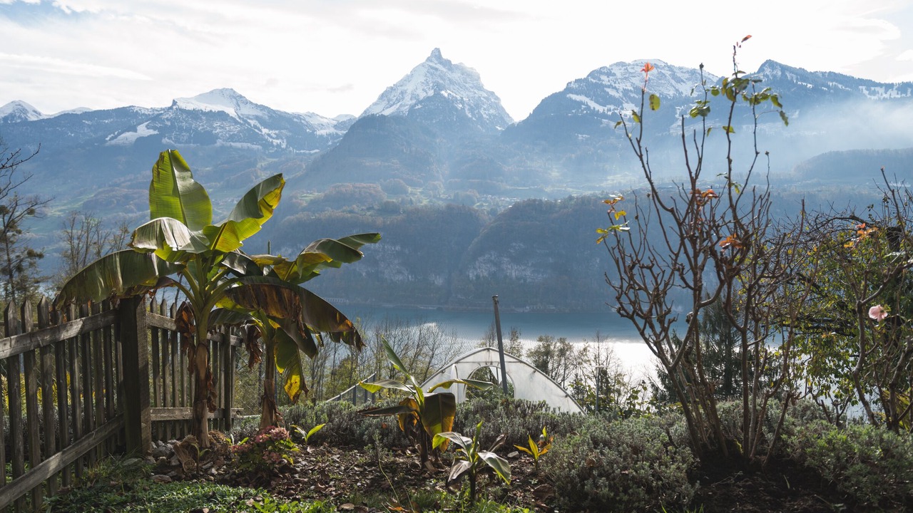 Photo of Outdoor in Amden