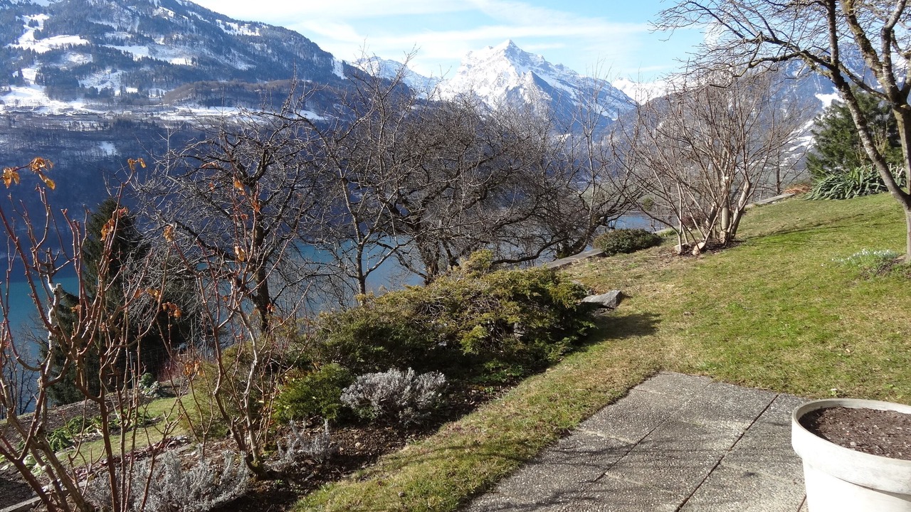 Photo of Outdoor in Amden