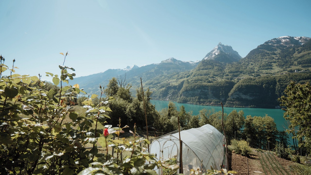 Photo of Outdoor in Amden