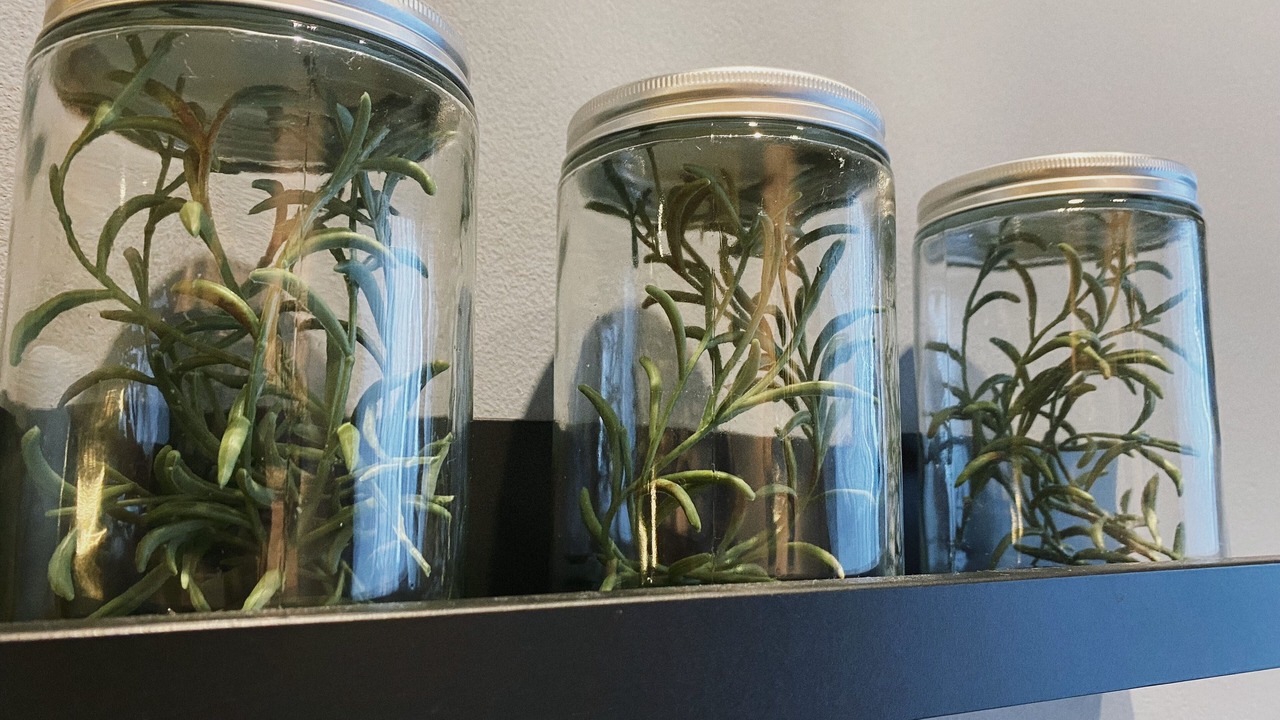 Photo of Others in Bandar Puchong Jaya