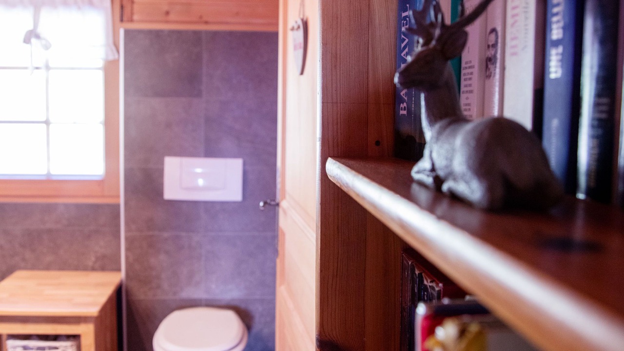 Photo of Bathroom in Chesieres