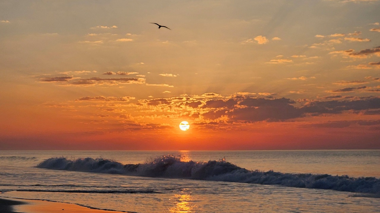 Photo of Others in Brigantine