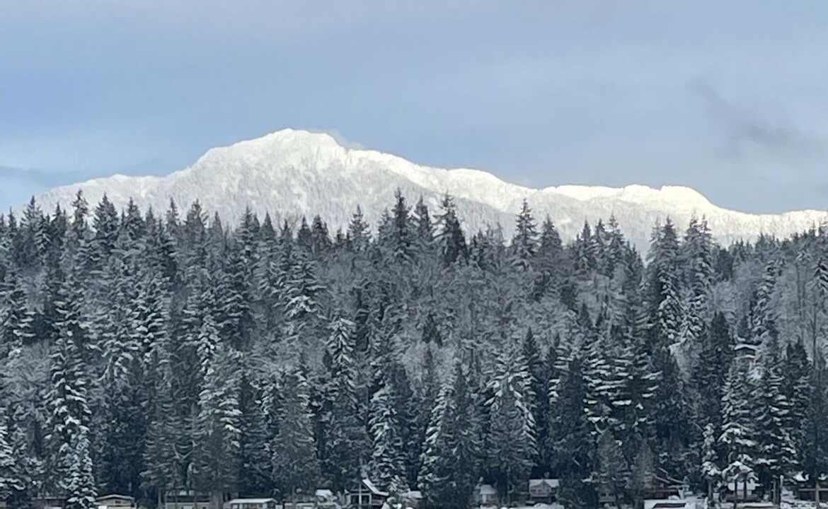 Photo of Livingroom in Lake Roesiger