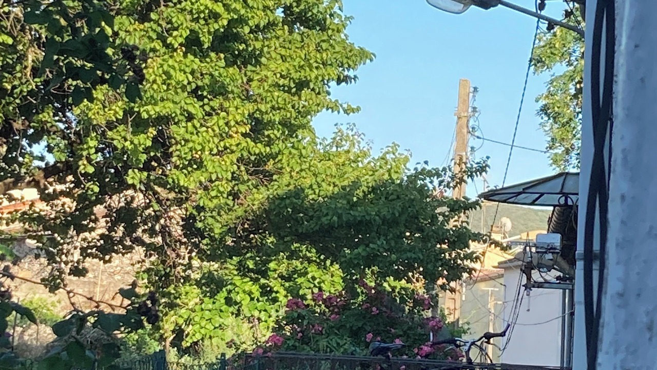 Photo of Outdoor in Ganges