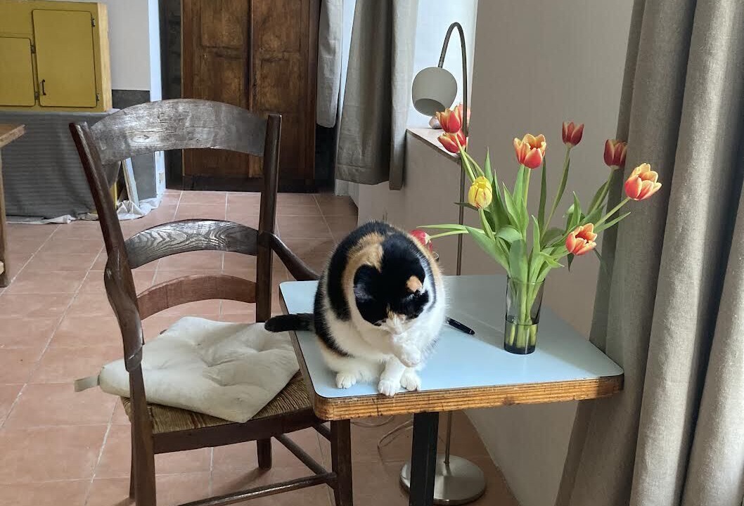 Photo of Others in Ganges