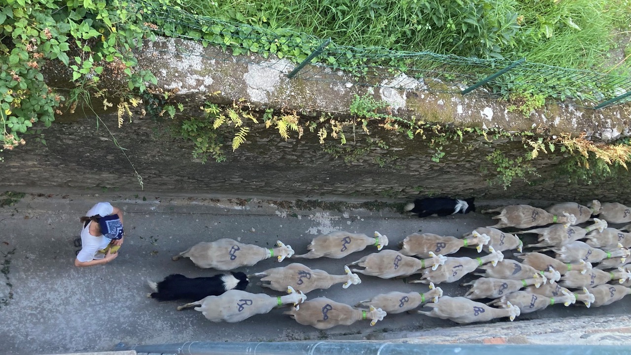 Photo of Others in Ganges