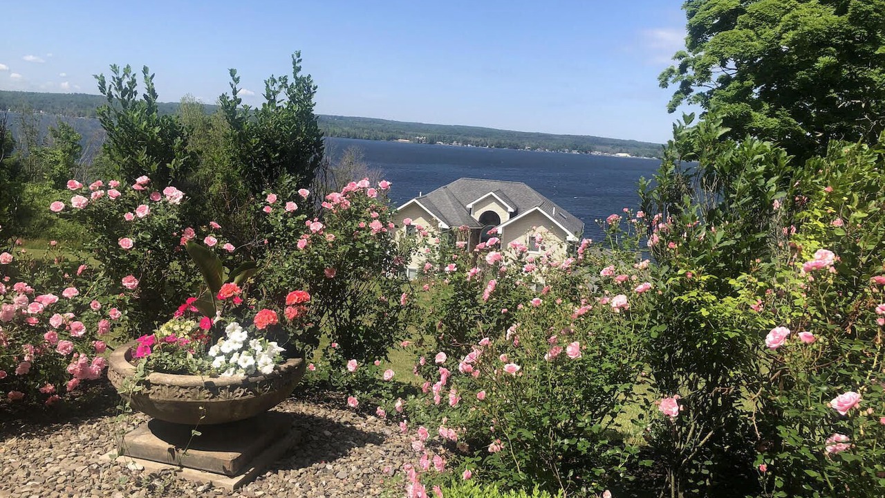 Photo of Outdoor in Dewittville