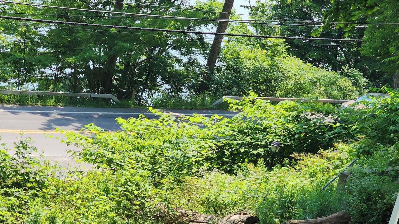 Photo of Outdoor in Cooperstown