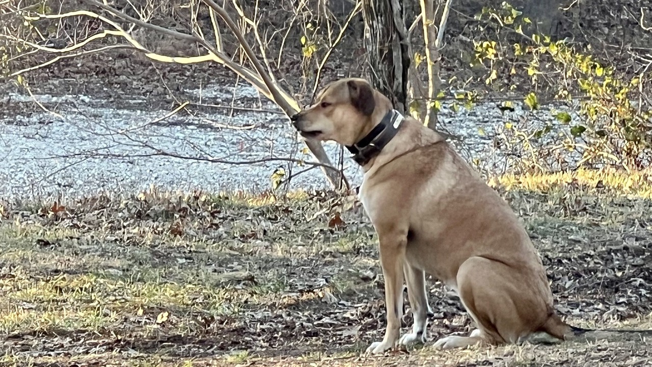 Photo of Others in West Siloam Springs