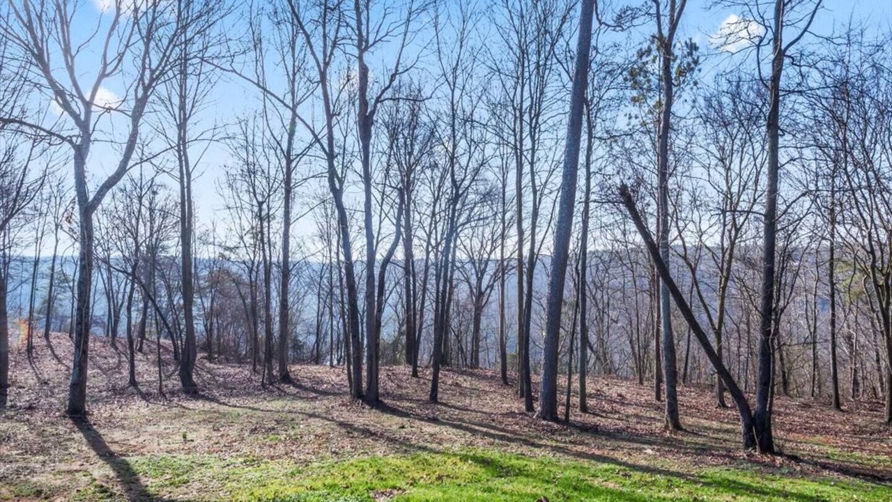 Photo of Outdoor in Albertville