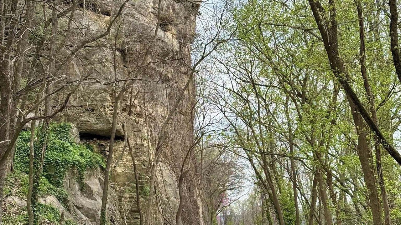 Photo of Outdoor in McKittrick