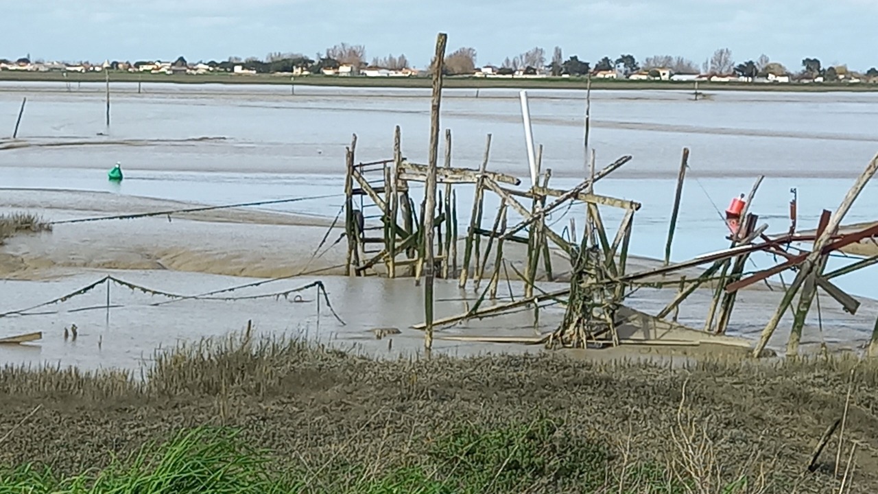 Photo of Others in Saint-Michel-en-l'Herm