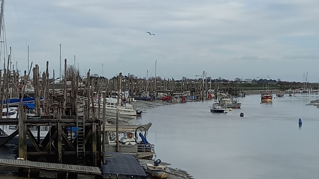 Photo of Others in Saint-Michel-en-l'Herm