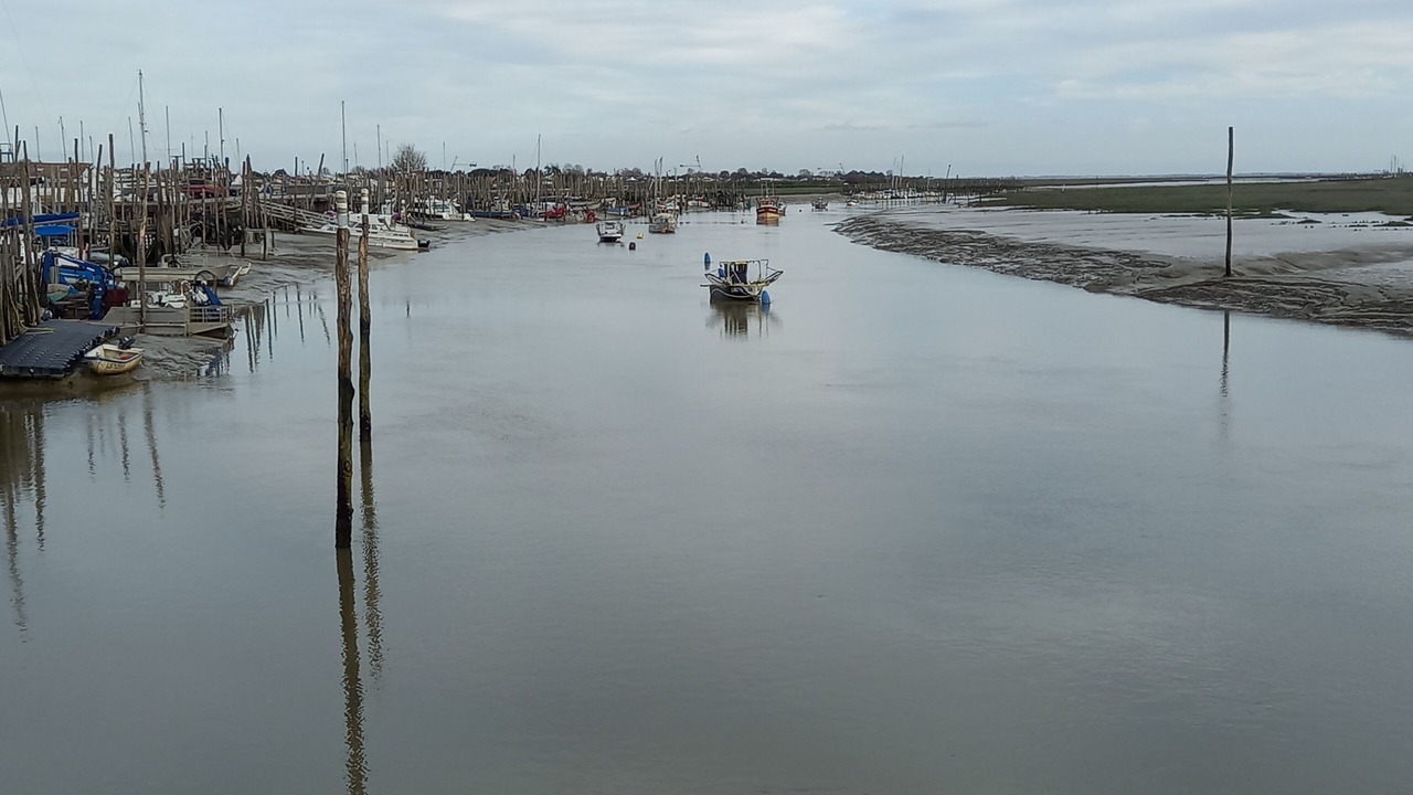 Photo of Others in Saint-Michel-en-l'Herm