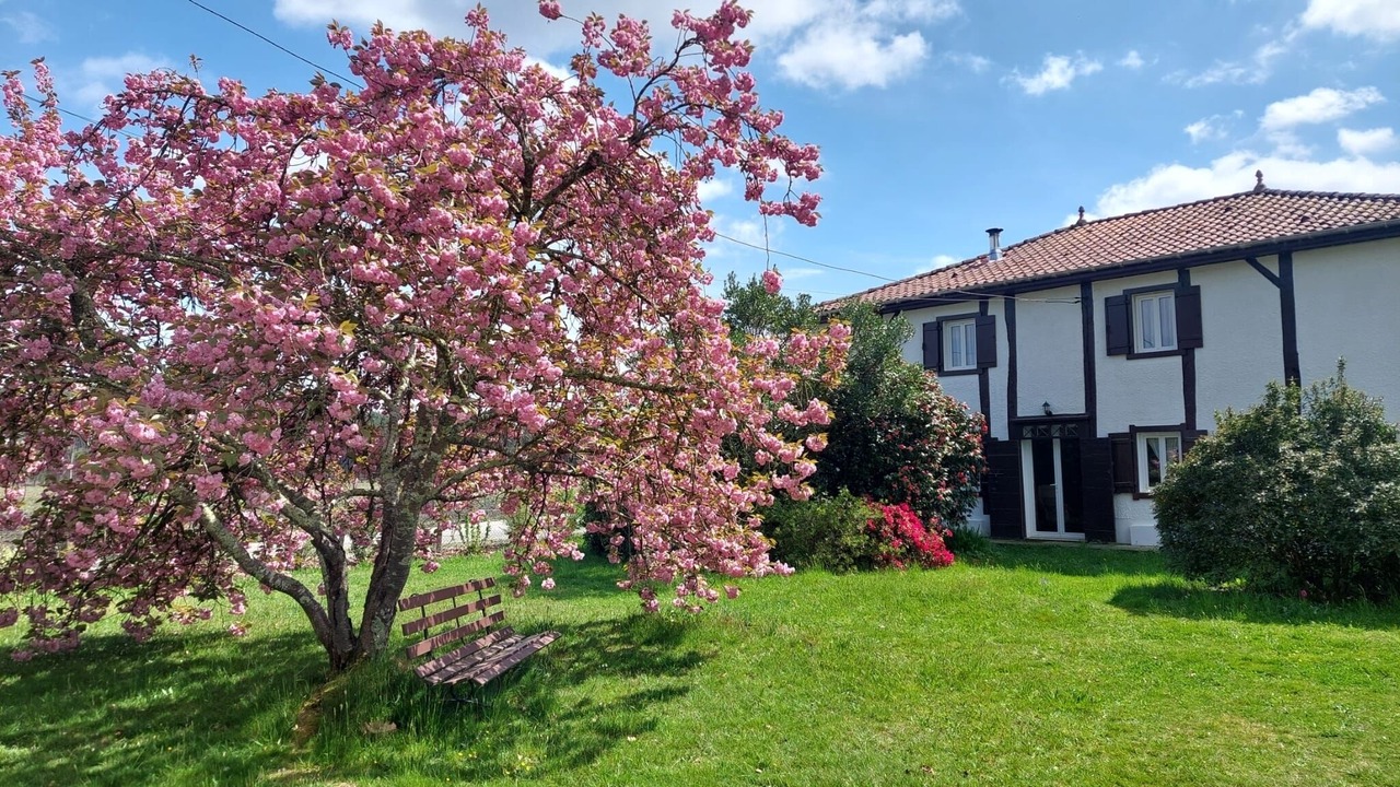Photo of Outdoor in Mezos