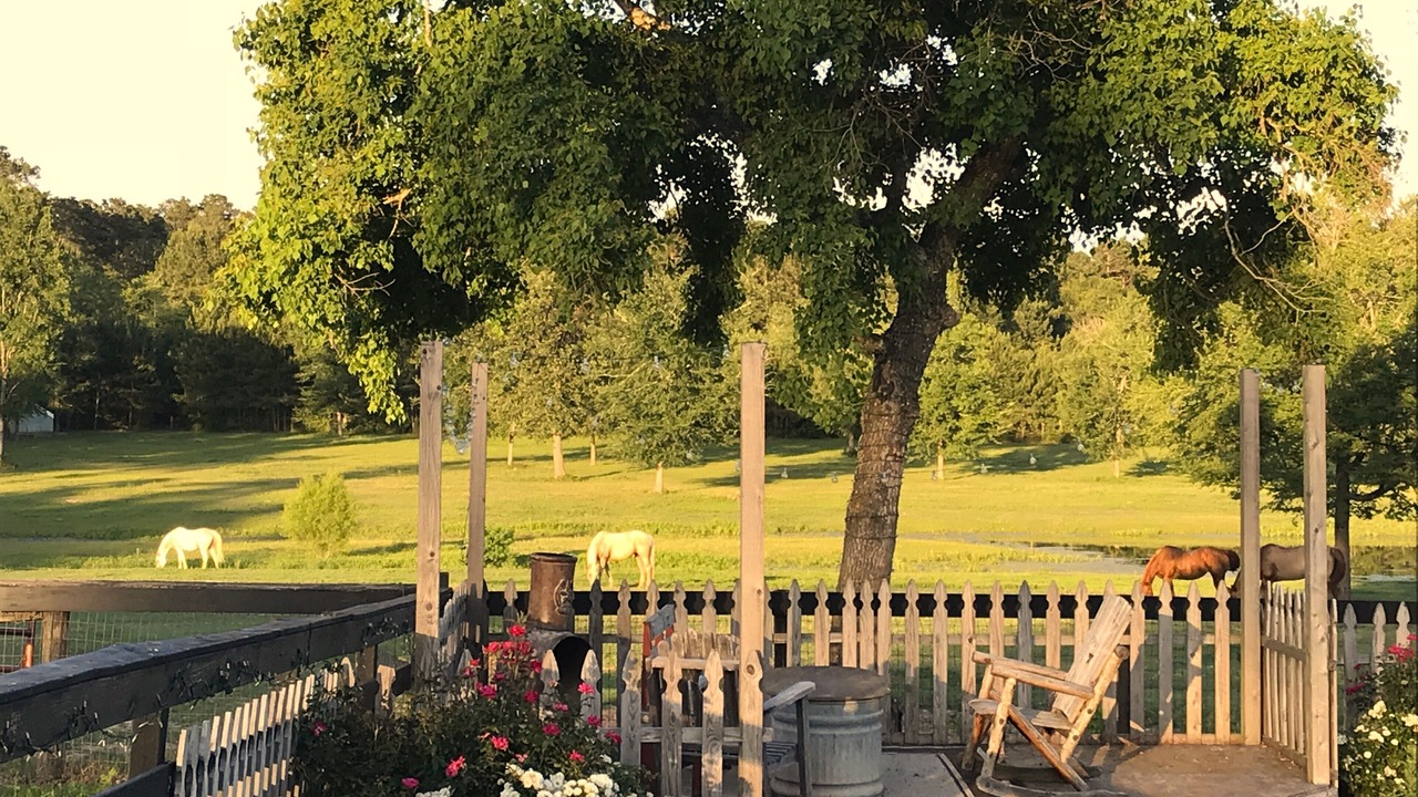 Photo of Outdoor in Montgomery County