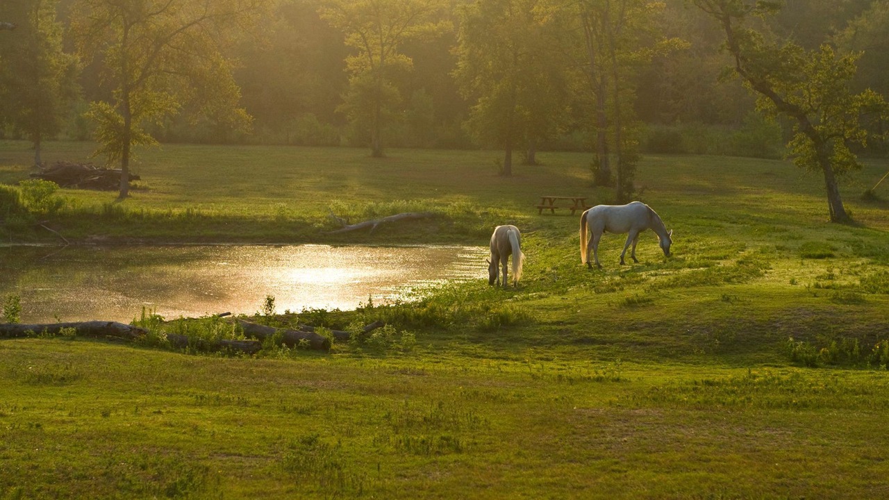 Photo of Outdoor in Montgomery County