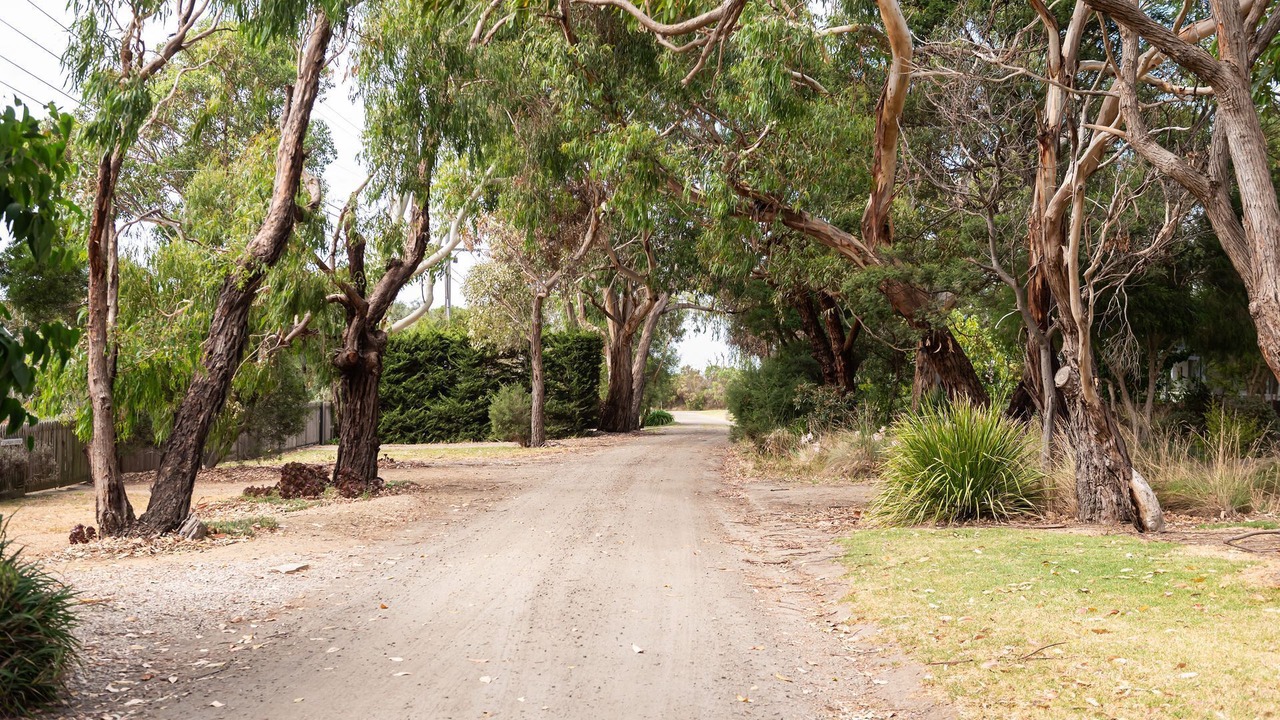 Photo of Outdoor in Flinders