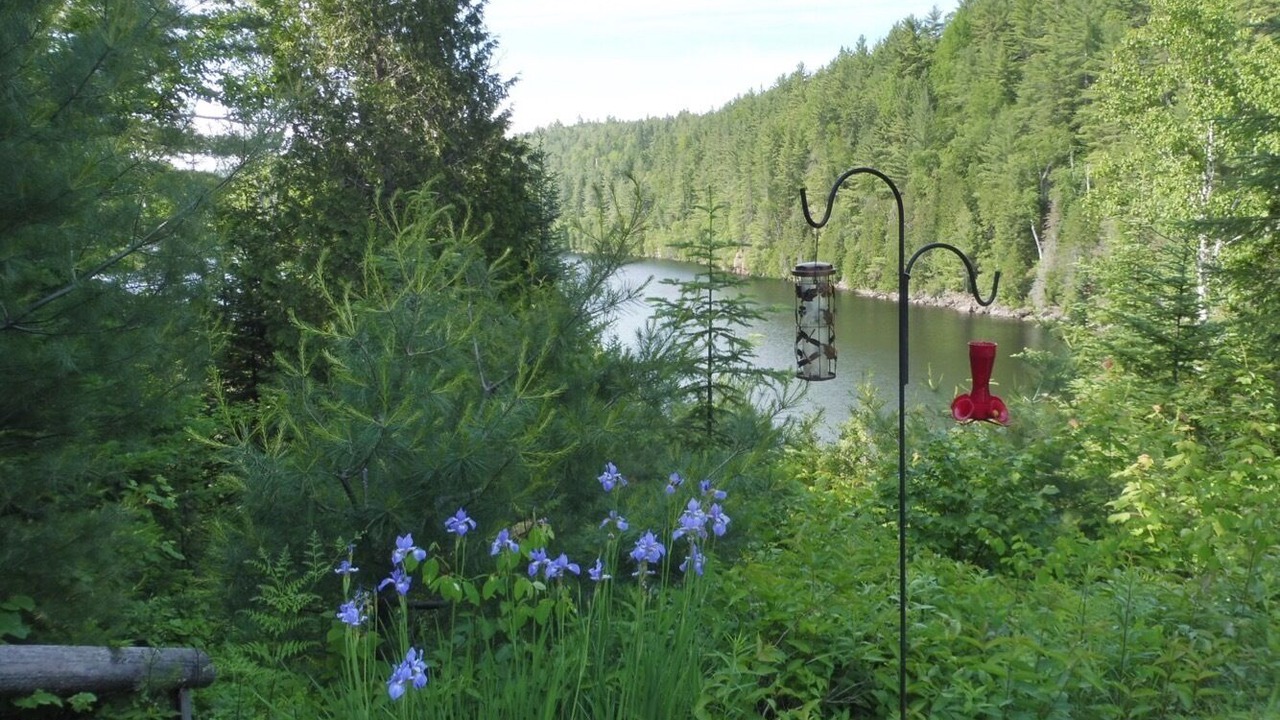 Photo of Others in Mauricie