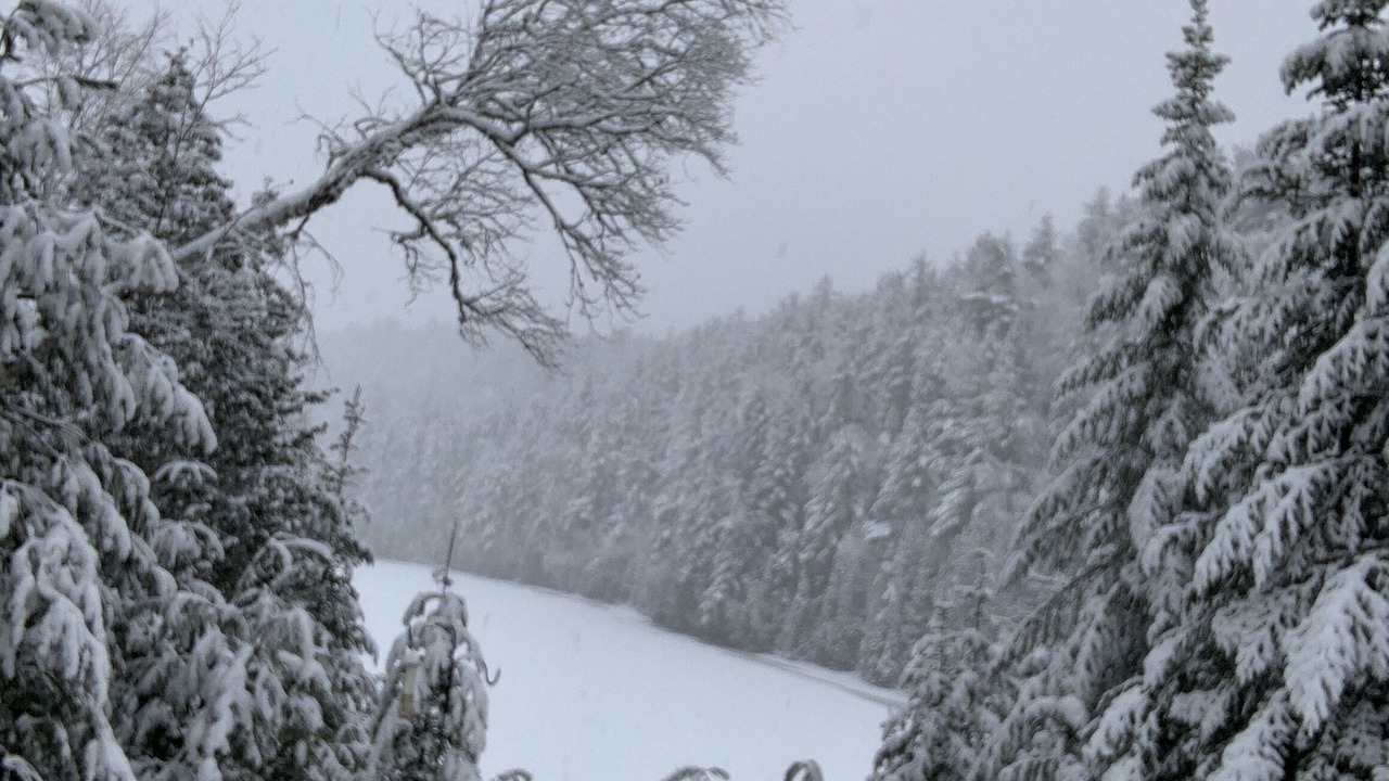 Photo of Outdoor in Mauricie