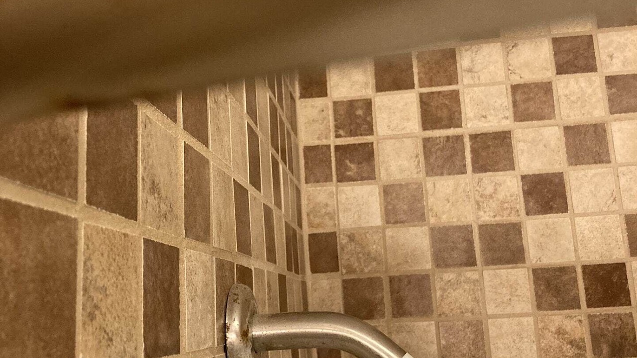 Photo of Bathroom in Brookline Station