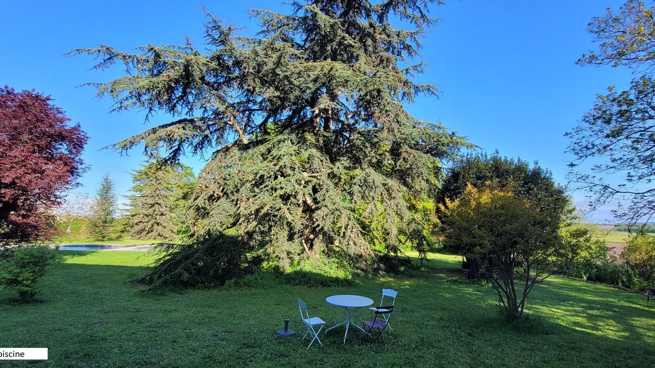 Photo of Outdoor in Les Ormes