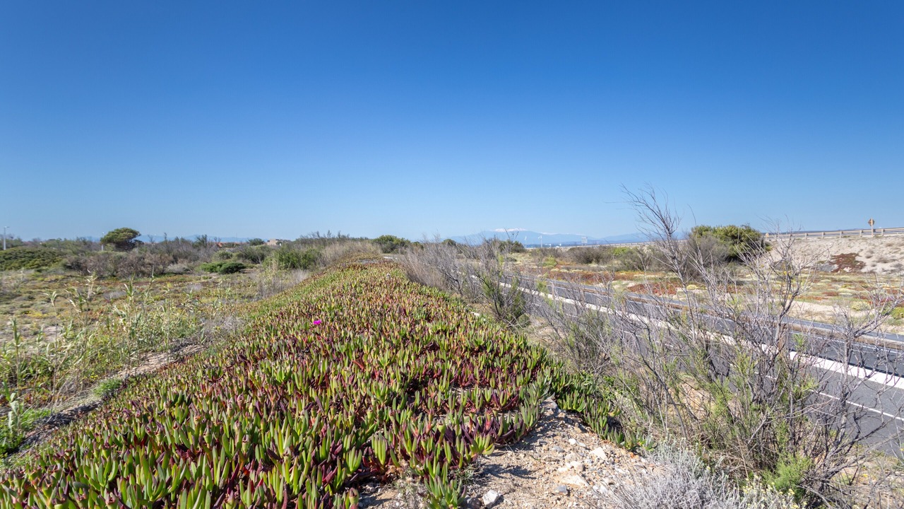 Photo of Others in Leucate