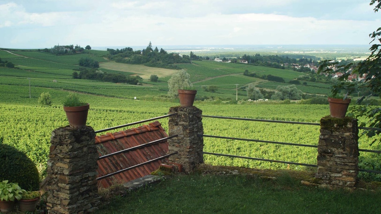 Photo of Outdoor in Buxy