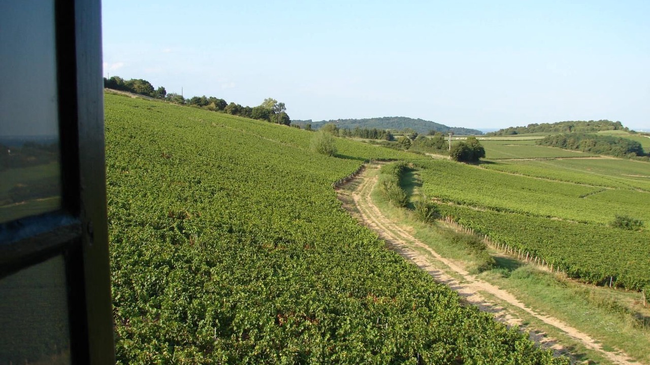 Photo of Others in Buxy