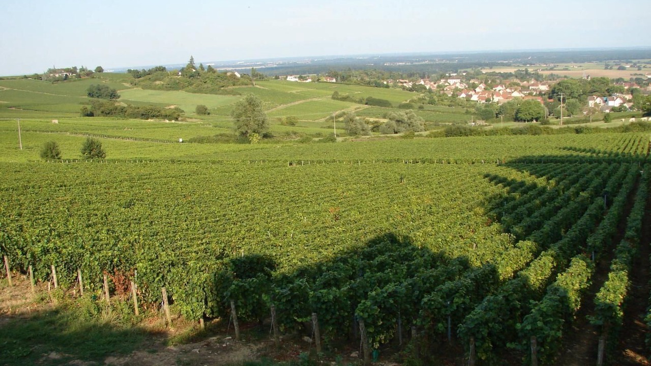 Photo of Outdoor in Buxy