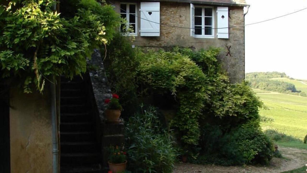 Photo of Outdoor in Buxy