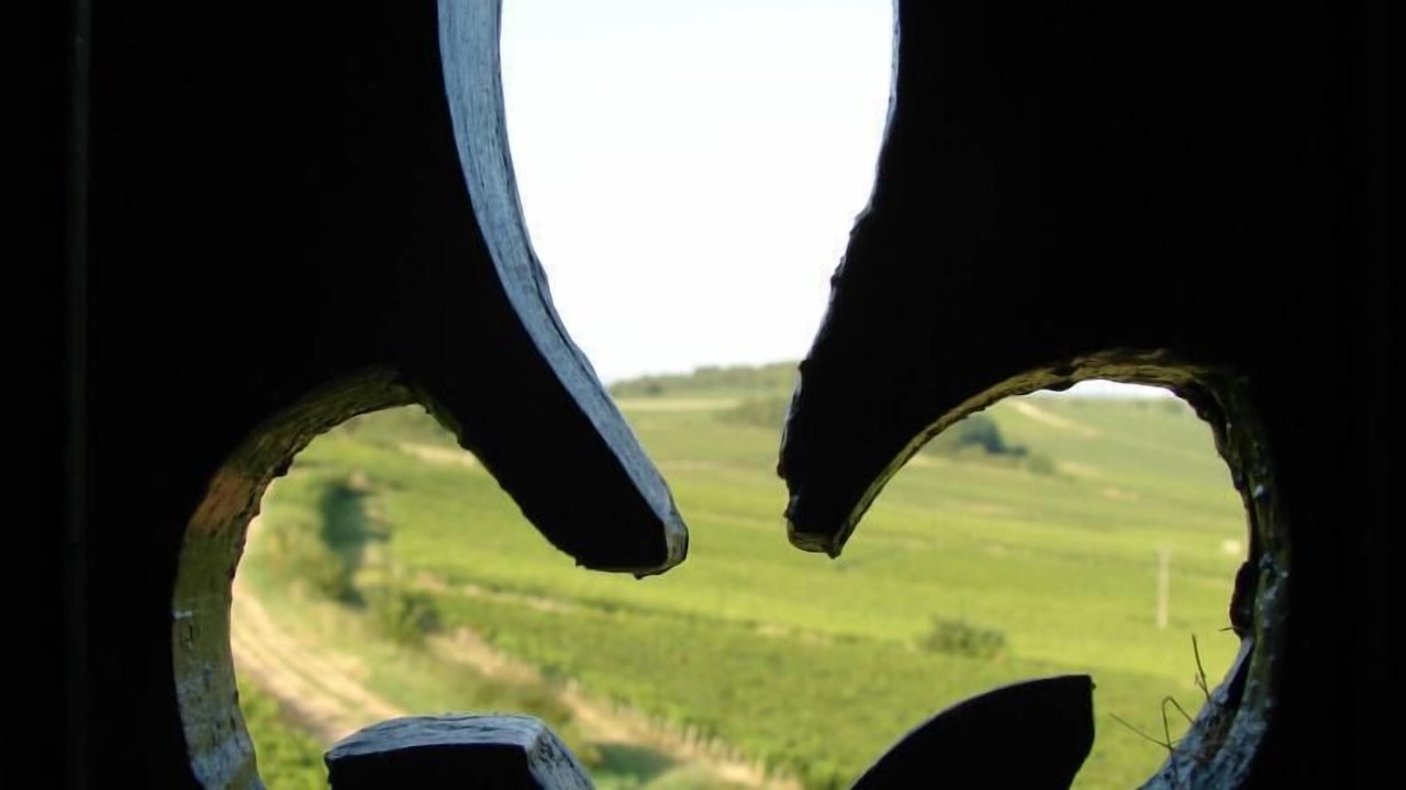 Photo of Others in Buxy