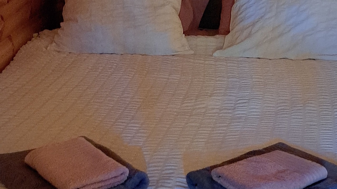 Photo of Bedroom in La Garde-Freinet