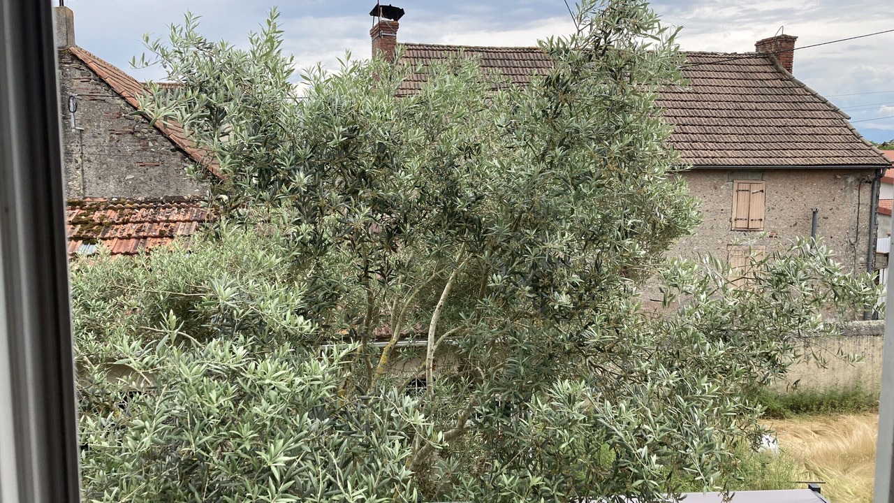 Photo of Others in Borderes-sur-l'Echez