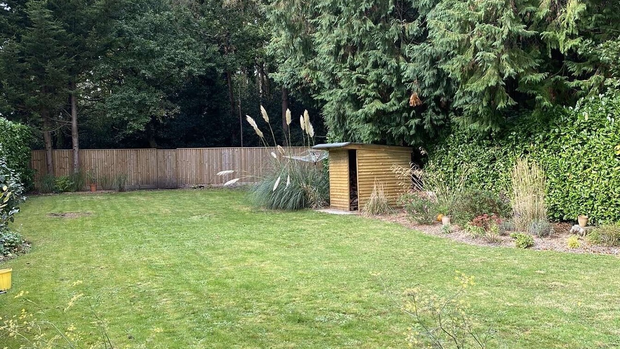 Photo of Outdoor in Ferndown