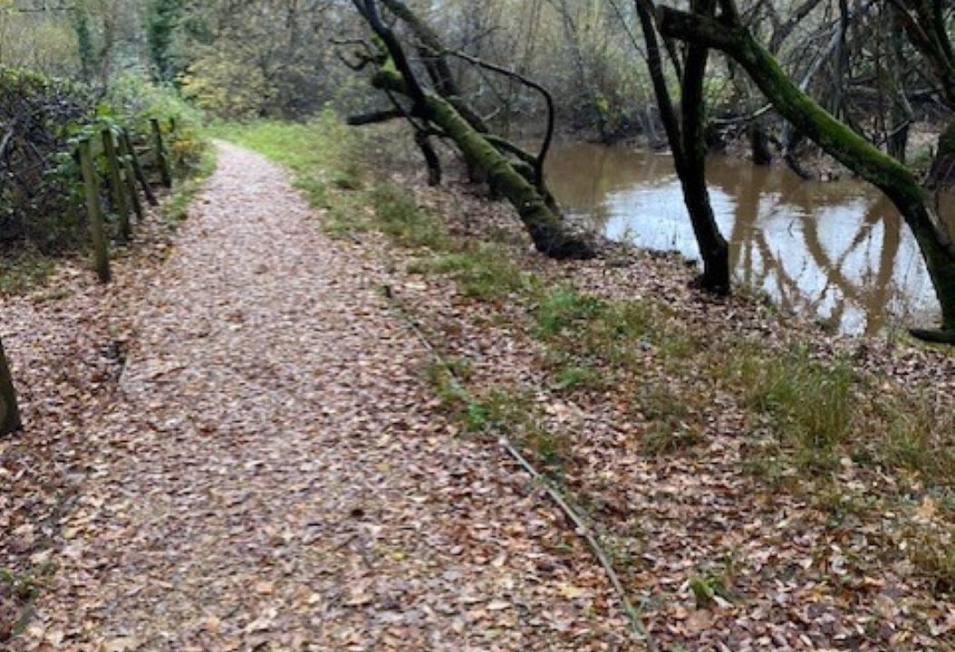 Photo of Outdoor in Ferndown