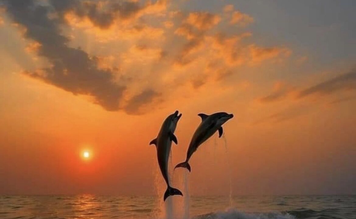 Photo of Outdoor in Panama City Beach