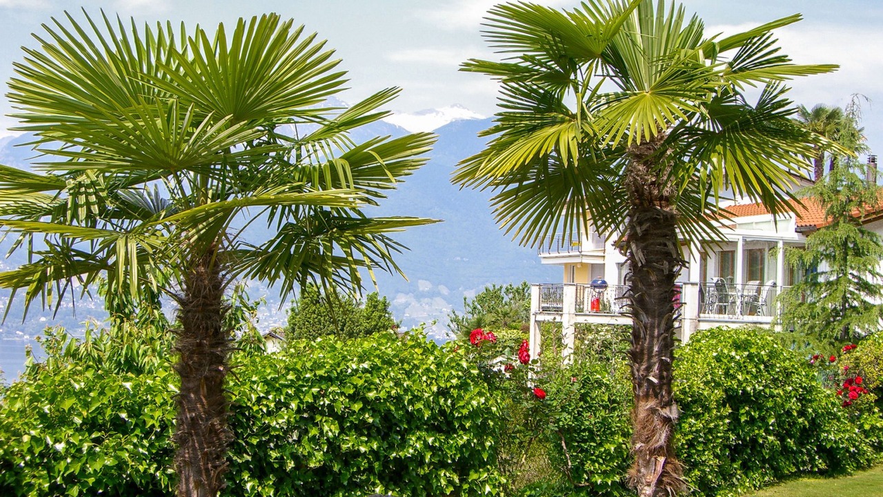 Photo of Others in Gambarogno
