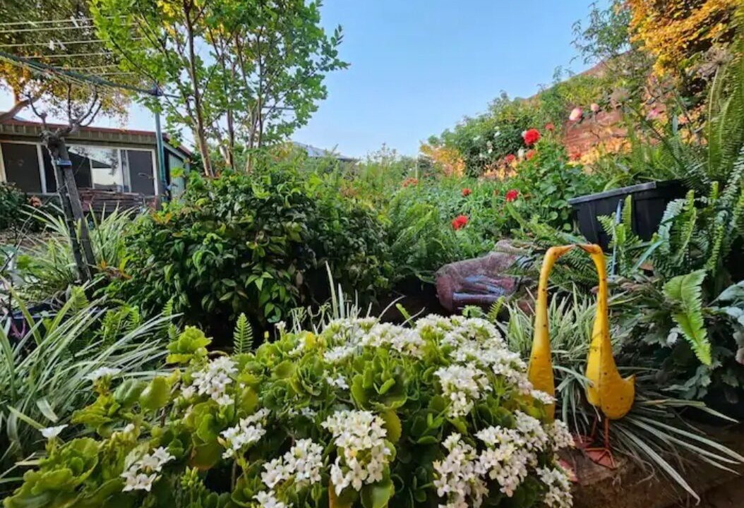 Photo of Outdoor in Para Hills