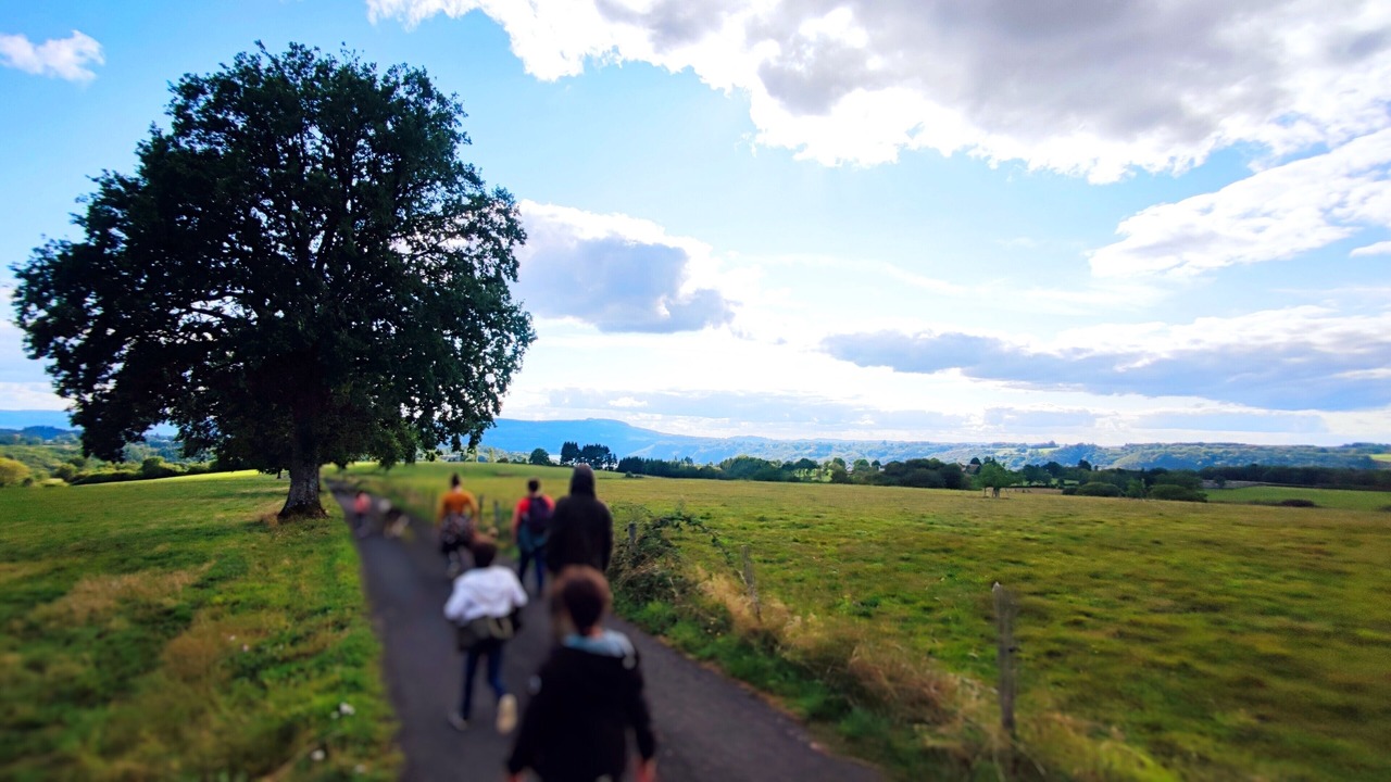 Photo of Others in Plantades