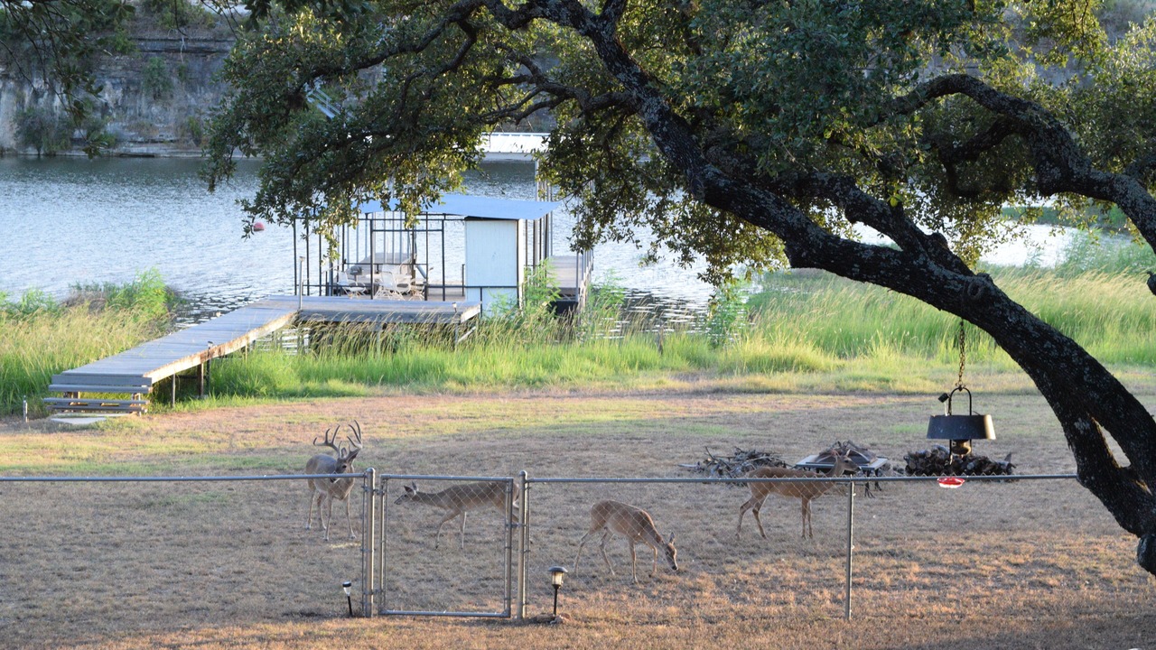 Photo of Others in Burnet