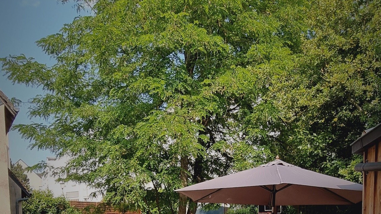Photo of Outdoor in Chateauroux