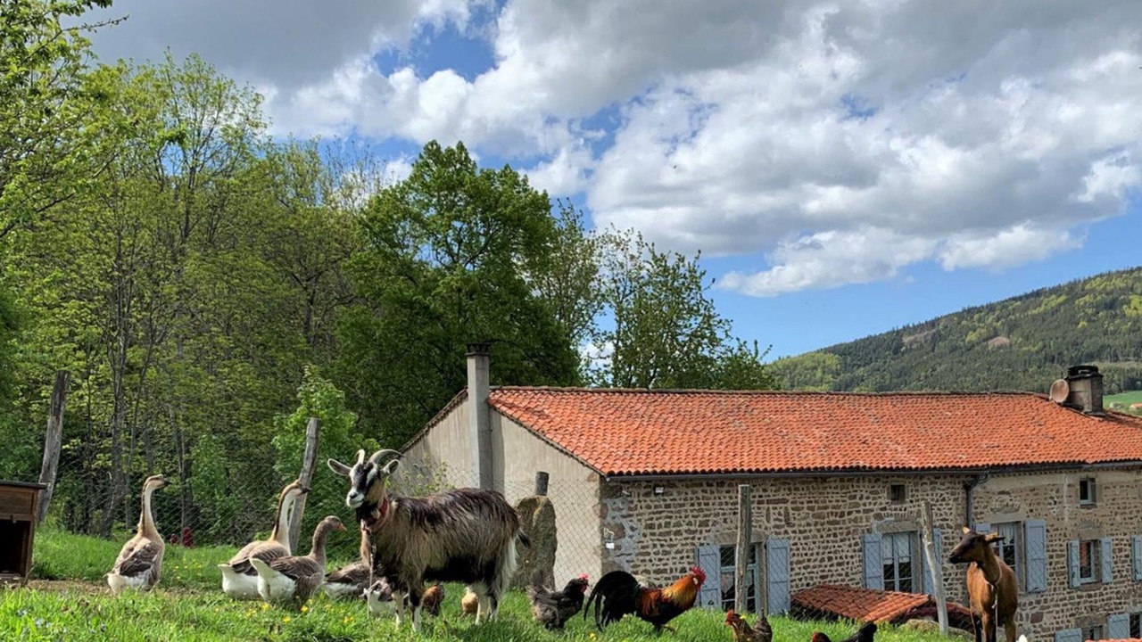 Photo of Outdoor in Sauvain