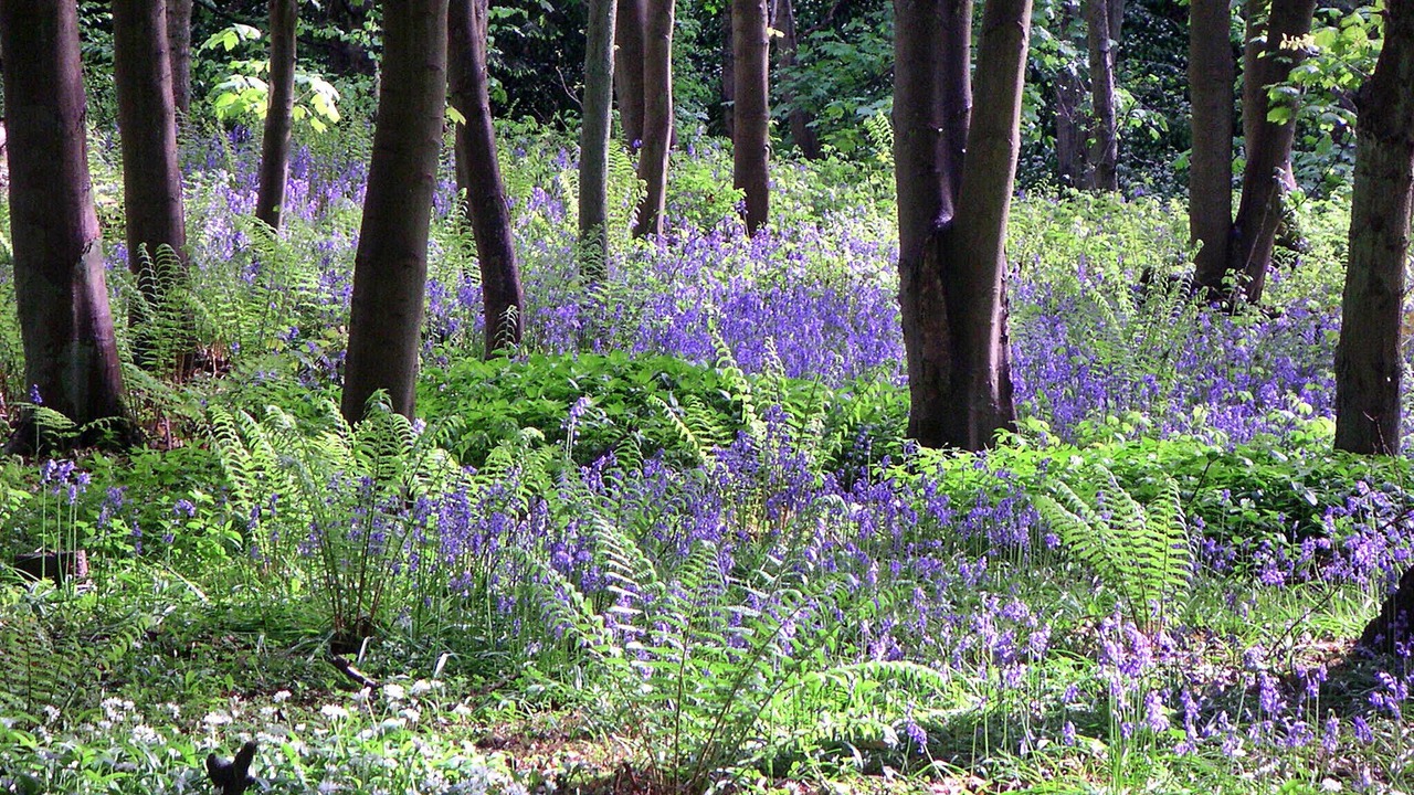 Photo of Outdoor in Great Broughton