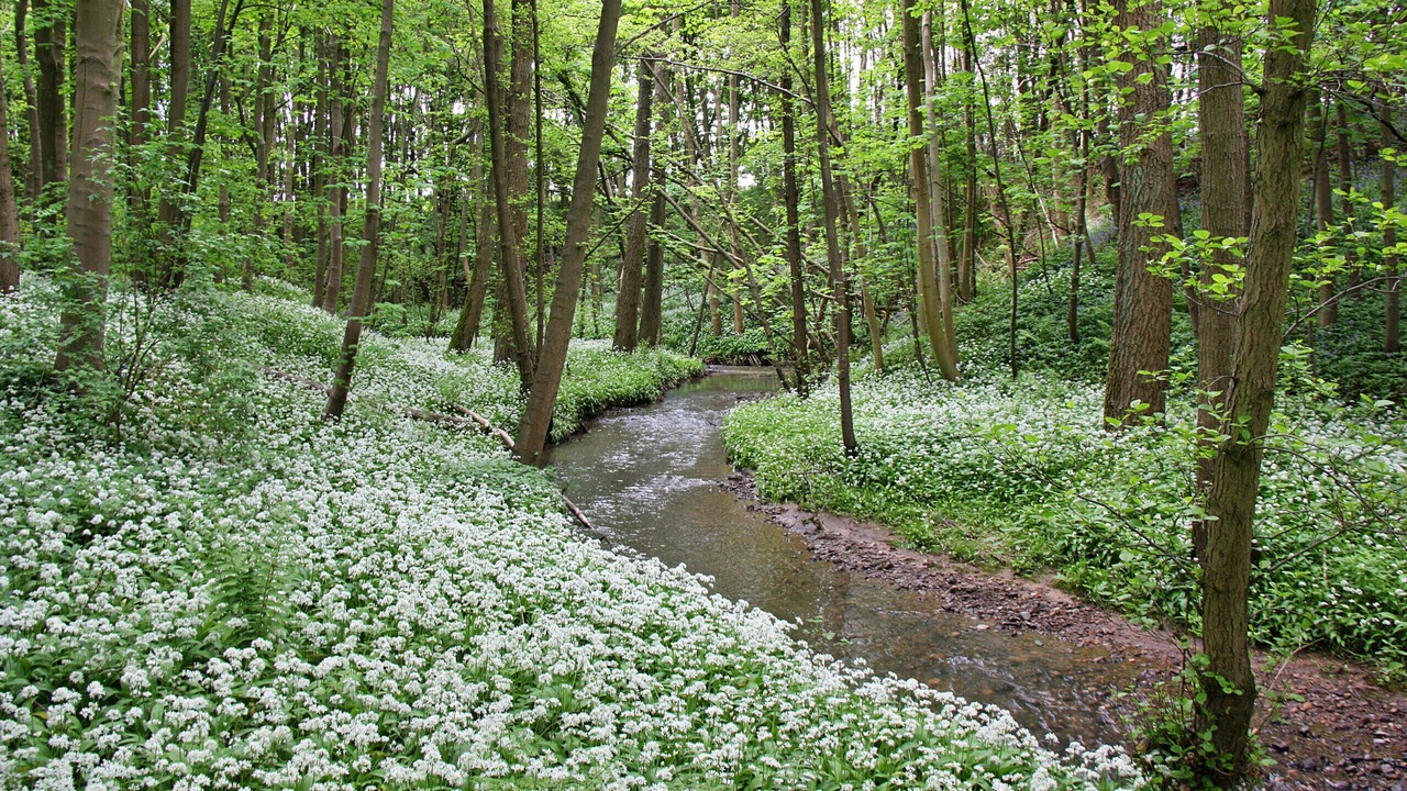 Photo of Others in Great Broughton