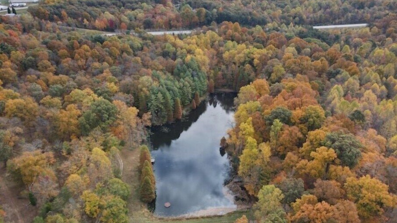Photo of Outdoor in Leopold