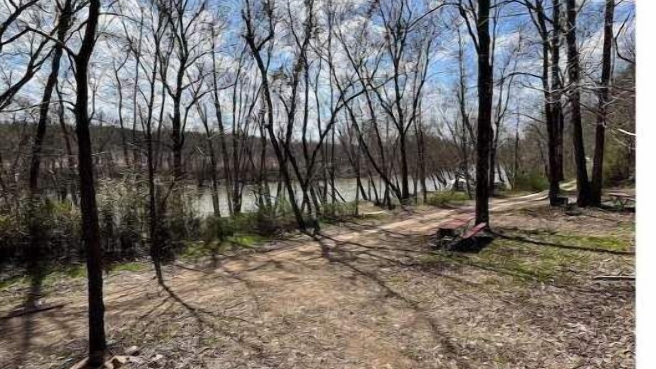 Photo of Outdoor in Williamsburg